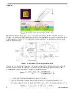 Предварительный просмотр 6 страницы NXP Semiconductors KE15Z User Manual