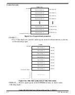 Предварительный просмотр 310 страницы NXP Semiconductors Kinetis KE1xZ256 Reference Manual