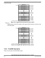 Предварительный просмотр 312 страницы NXP Semiconductors Kinetis KE1xZ256 Reference Manual