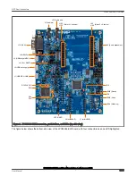 Предварительный просмотр 9 страницы NXP Semiconductors LPC55S36-EVK User Manual