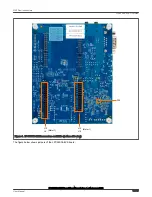 Предварительный просмотр 10 страницы NXP Semiconductors LPC55S36-EVK User Manual