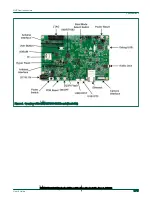 Предварительный просмотр 6 страницы NXP Semiconductors MIMXRT1060 Hardware User'S Manual