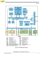 Предварительный просмотр 31 страницы NXP Semiconductors MPC5644A Reference Manual