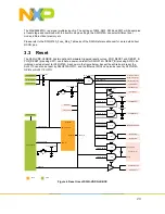 Предварительный просмотр 23 страницы NXP Semiconductors S32G-VNP-GLDBOX Reference Manual