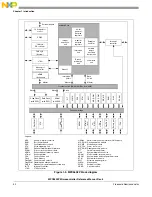 Предварительный просмотр 40 страницы NXP Semiconductors SAFE ASSURE Qorivva MPC5601P Reference Manual