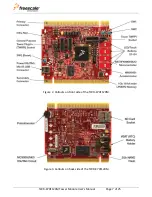 Предварительный просмотр 7 страницы NXP Semiconductors TWR-K70F120M User Manual