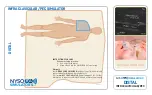 Предварительный просмотр 3 страницы NYSORA SIMULATORS DISTAL ADDUCTOR CANAL BLOCK Manual