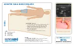 Предварительный просмотр 5 страницы NYSORA SIMULATORS DISTAL ADDUCTOR CANAL BLOCK Manual