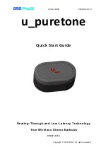 OBO PRO.2 u_puretone SYN3 Quick Start Manual preview