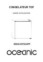 Oceanic OCEACCF32APP Service Manual preview