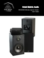 Octet Matrix Audio DE5B-DW50 User Manual предпросмотр