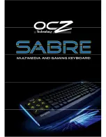 Preview for 1 page of OCZ Sarbe User Manual