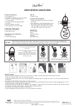 O'DADDY Asellus User Manual preview