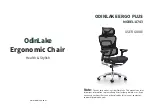 OdinLake ERGO PLUS A743 User Manual preview