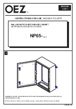 OEZ NP65 Series Instructions For Use Manual preview