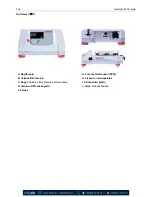 Preview for 240 page of OHAUS e-G51ST07R Instruction Manual