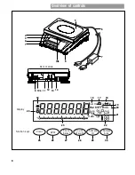 Предварительный просмотр 6 страницы OHAUS Ranger Counting Scale Operating Instructions Manual