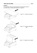 Предварительный просмотр 99 страницы OHAUS Valor V31X Instruction Manual