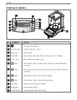 Предварительный просмотр 249 страницы OHAUS Voyager V00640 Instruction Manual