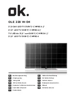 Preview for 1 page of OK. OLE198B-D4 User Manual