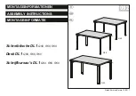 Oka DL1 Q50 Desk Assembly Instructions Manual предпросмотр