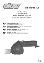 Okay GS 8018 LI Operating Instructions Manual предпросмотр