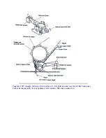 Preview for 29 page of OKIDATA ML172 Series Service Manual