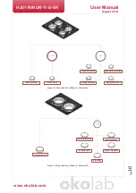 Предварительный просмотр 10 страницы Okolab H201-NIKON-TI-S-ER User Manual