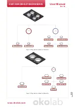 Preview for 10 page of Okolab H301-NIKON-NZ100/200/500-N User Manual