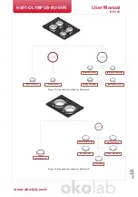 Preview for 10 page of Okolab H301-OLYMPUS-IX3-SVR User Manual