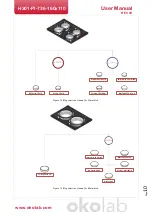 Предварительный просмотр 10 страницы Okolab H301-PI-736-160x110 User Manual