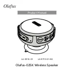 Olafus 02SK Product Manual preview