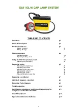 Предварительный просмотр 2 страницы Oldham Denchi Power GL9 Instruction Manual