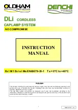 Preview for 1 page of Oldham DLi Instruction Manual