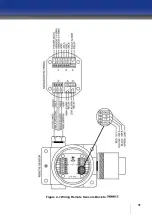 Preview for 31 page of Oldham iTrans 2 Installation And Operation Manual