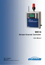 Oldham WX16 User Manual preview