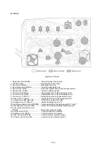 Preview for 175 page of Olivetti d-COLOR P2026 Service Manual