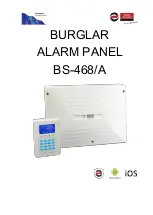 olympia electronics BS-468/A/WL Manual предпросмотр