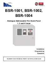 olympia electronics BSR-1001 Manual preview