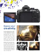 Preview for 6 page of Olympus 262162 Brochure & Specs