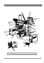 Preview for 10 page of Olympus BX-RFAA Instructions Manual