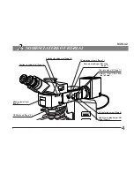 Preview for 7 page of Olympus BX-RLA2 Instructions Manual