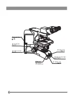 Preview for 10 page of Olympus BX43 Instructions Manual