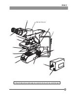 Preview for 13 page of Olympus BX43 Instructions Manual