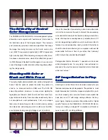 Preview for 12 page of Olympus CAMEDIA E-100 ZOOM RS User Manual