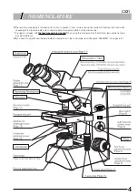 Preview for 7 page of Olympus CX31 Instructions Manual