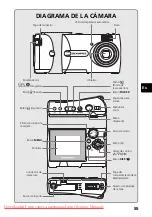 Предварительный просмотр 55 страницы Olympus FE-130/X-740 Basic Manual