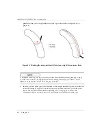 Предварительный просмотр 42 страницы Olympus FlexoFORM User Manual