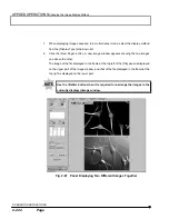 Preview for 306 page of Olympus Fluoview FV1000 User Manual