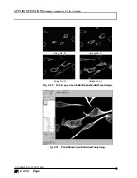 Preview for 408 page of Olympus FLUOVIEW FV300 User Manual